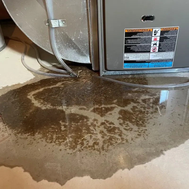 Pipe Burst and Leak Restoration in Wells Beach Station, ME